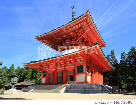 高野山　金剛峰寺の根本大塔 16655699