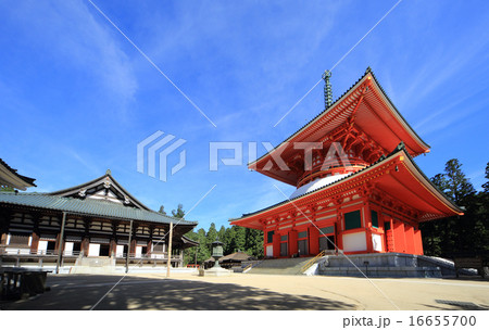 高野山 根本大塔と金堂 高野山 根本大塔と金堂 16655700
