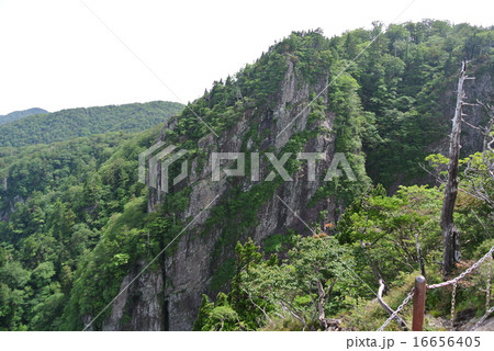 大台ケ原 大蛇嵓 大台ケ原 大蛇嵓 16656405