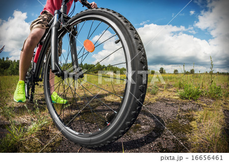 cyclist on a Mountain Bike on a forest track 16656461