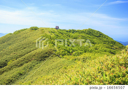 夏の白神岳　青森県深浦町 16656507
