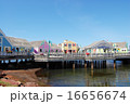サマーサイド 16656674