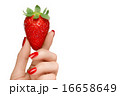 Female Hand Holding a Luscious Ripe Strawberry 16658649