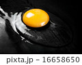 Raw Egg on Smooth Black Surface 16658650