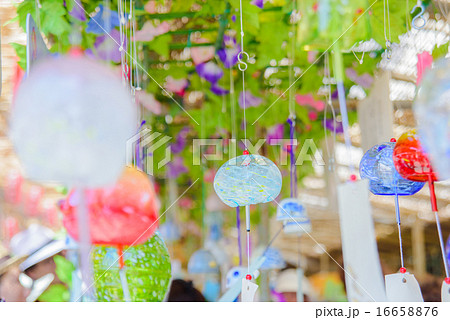 江戸風鈴 16658876