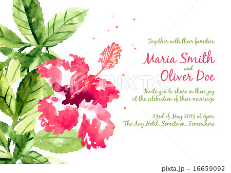 Vector background with red watercolor hibiscus Vector background with red watercolor hibiscus 16659092
