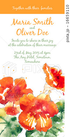 Vector background with watercolor nasturtium 16659110