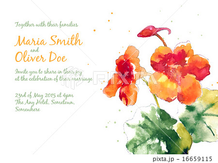 Vector background with watercolor nasturtium Vector background with watercolor nasturtium 16659115