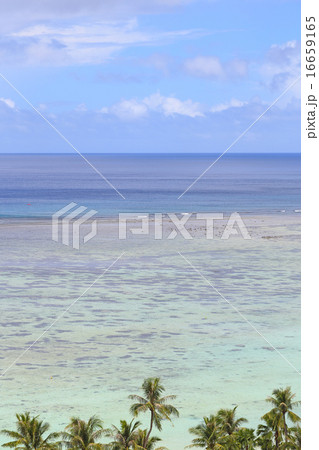 美しいグアムの海 16659165