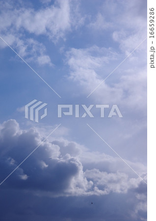 雲景 16659286