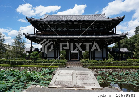 京都「東福寺」三門と思遠池の蓮花 16659881
