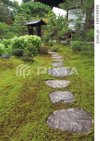 京都　両足院 16659898