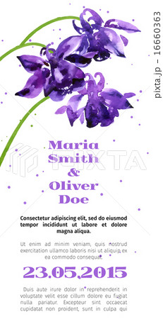 Vector background with  aquilegia nasturtium 16660363