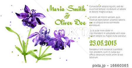Vector background with  aquilegia nasturtium 16660365