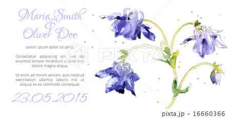 Vector background with  aquilegia nasturtium 16660366
