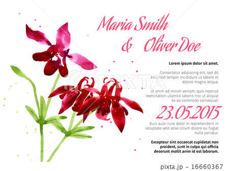Vector background with aquilegia nasturtium Vector background with aquilegia nasturtium 16660367