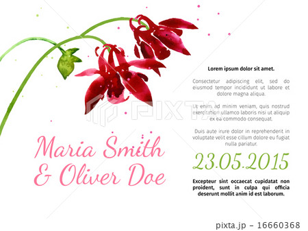 Vector background with  aquilegia nasturtium 16660368