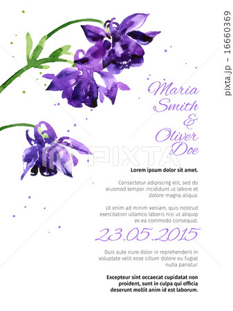 Vector background with  aquilegia nasturtium 16660369