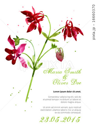 Vector background with  aquilegia nasturtium 16660370