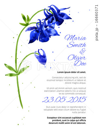 Vector background with  aquilegia nasturtium 16660371