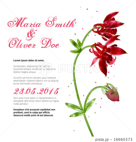 Vector background with  aquilegia nasturtium 16660373