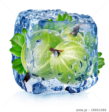 Gooseberry in ice cube Gooseberry in ice cube 16661088