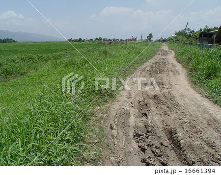 インレー湖畔の道路（ミャンマー） 16661394