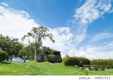 梶原山公園 梶原山公園 16661553