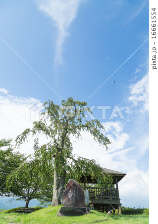 梶原山公園 梶原山公園 16661554