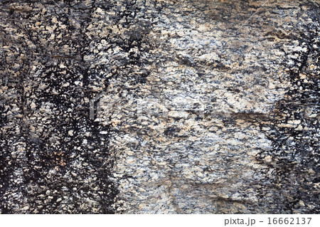 Stone Texture Stone Texture 16662137