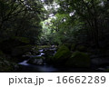 渓谷 16662289