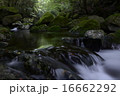 渓谷 16662292