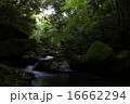 渓谷 16662294