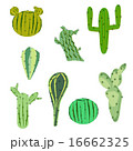 vector illustration set cactus in flat style 16662325