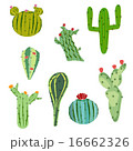vector illustration set cactus with flowers 16662326
