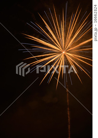 花火 花火 16662824