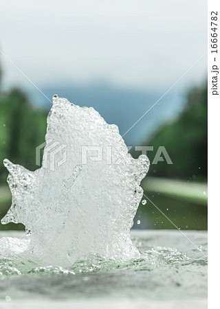 水飲み場 16664782