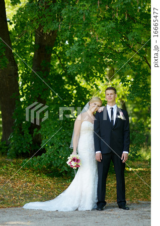 Beautiful bride and groom Beautiful bride and groom 16665477