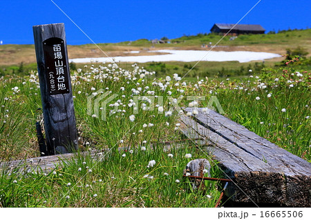 苗場山山頂湿原の標識 苗場山山頂湿原の標識 16665506