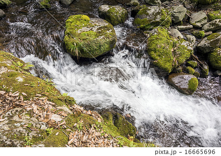 奥十曽渓谷の渓流 16665696