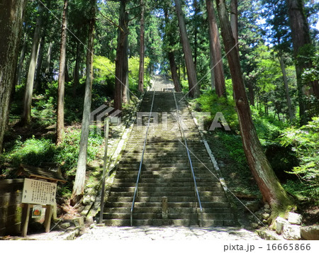 長い階段(山梨県身延山) 長い階段(山梨県身延山) 16665866