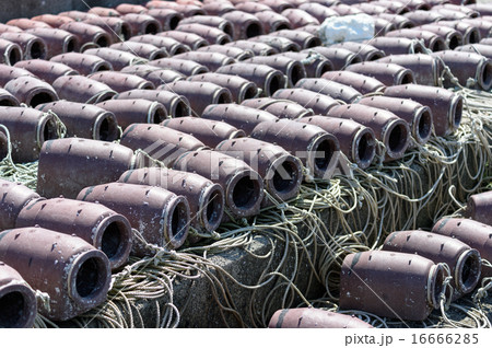 たこつぼ 16666285