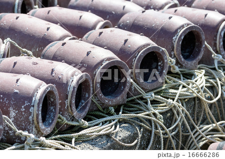 たこつぼ 16666286