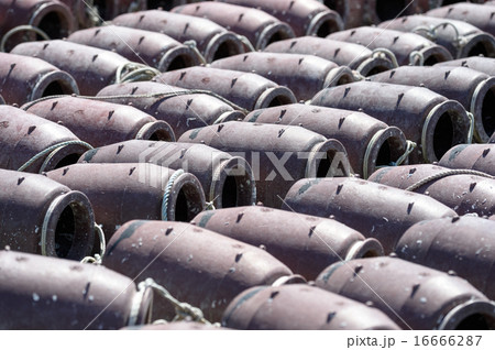 たこつぼ 16666287