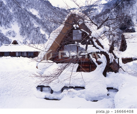 「世界文化遺産」五箇山、菅沼合掌造り集落の雪景色/国指定重要伝統的建造物群保存地区/国指定史跡 16666408