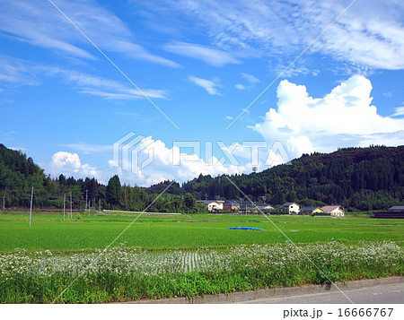 南九州薩摩の田園風景 南九州薩摩の田園風景 16666767