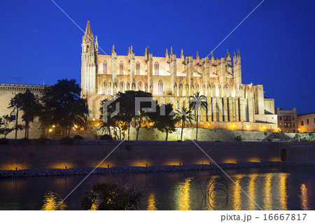 Cathedral Palma de Mallorca illuminated at night 16667817