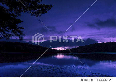 夜明けの白駒池 夜明けの白駒池 16668121