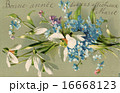 French antique postcard flower 7 16668123