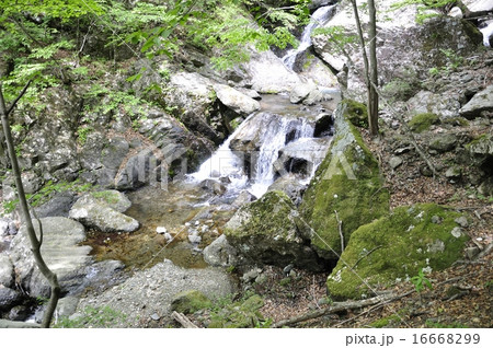 大岩の滝 16668299